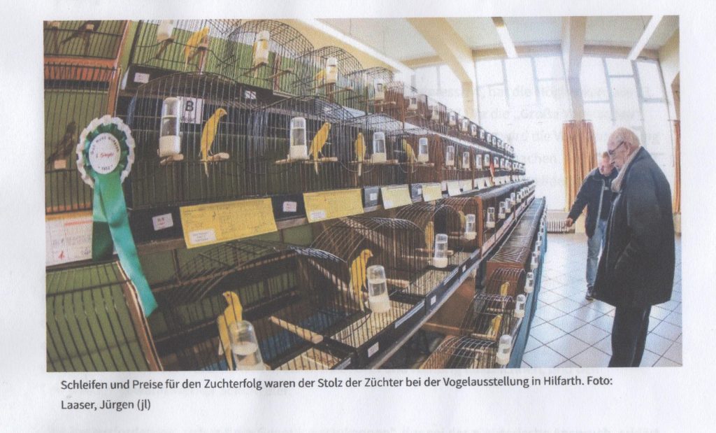 Vogelzucht, Gut Hohl Hilfarth, Vogelausstellung, Exoten, Waldvögel, Cardueliden, Kanarienvogel